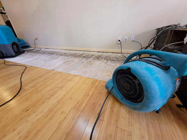 Reliable Water Damage Restoration contractor in Bucyrus, KS by Hirex Water Damage