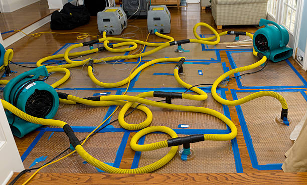 Professional Water Damage Restoration technician working in Bucyrus, KS