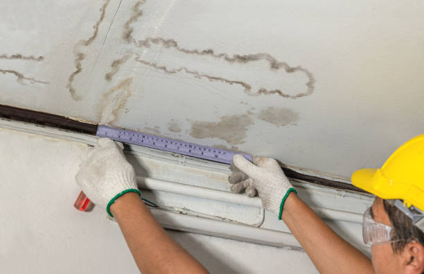 Affordable Water Damage Restoration solutions in Bucyrus, KS
